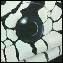 Augenblick einer Koenigsnatter Acryl auf Leinwand;
30 x 30 cm